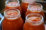 Tomato-sauce